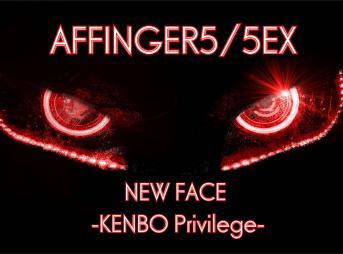 AFFINGER5