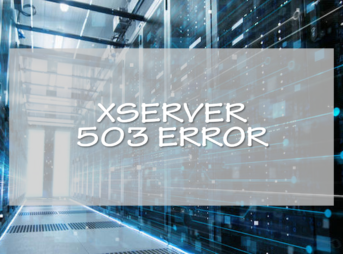 XSERVER　503